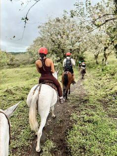 several people riding horses on a trail through an apple orchard