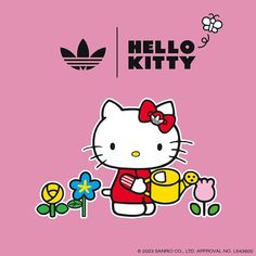 Iphone Wallpaper, Kitty, Adidas, Iphone, Quick Saves