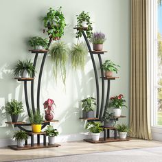 several potted plants are arranged on three tiered shelves in the shape of an arch