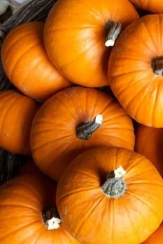 a basket filled with lots of orange pumpkins