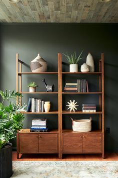 a bookshelf filled with lots of books next to a potted plant on top of a wooden shelf