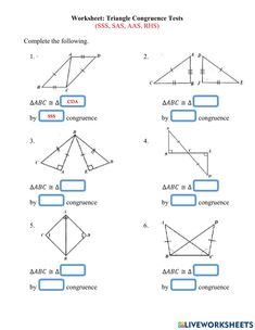 worksheet for triangles and congructions with answers on the same side