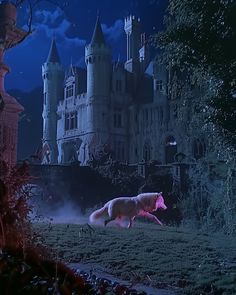 a wolf running in front of a castle at night