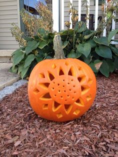 an orange carved pumpkin sitting on top of mulch