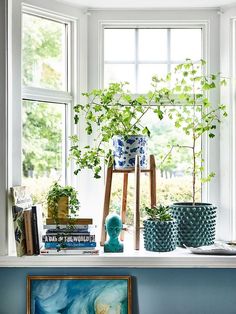 a window sill filled with books and plants