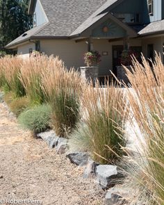 the house is surrounded by tall grass and rocks