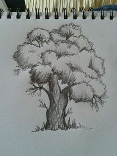 a pencil drawing of a tree on paper