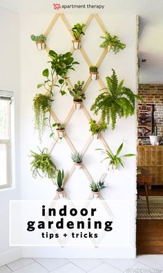 a wall mounted planter on the side of a white wall next to a window