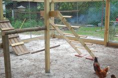 two chickens are walking around in an enclosed area next to a wooden structure and stairs