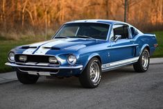 1968 Ford Mustang Shelby GT500 (Acapulco Blue, 428ci V8, 4-speed) Mustang Car Aesthetic, Shelby Mustang Gt500, Blue Mustang, 1968 Ford Mustang, 1968 Mustang, Aesthetic Cool, Ford Mustang Car, Ford Mustang Shelby Gt500