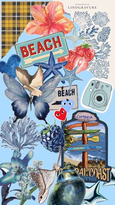 a collage of various items including flowers, beach signs and other things on a blue background