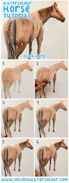 step by step instructions for how to paint a horse