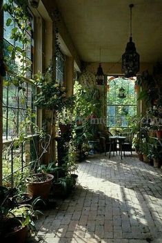 a room filled with lots of potted plants next to an open window on top of a brick floor