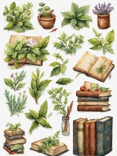 a bunch of books and plants on a white background with watercolor paint style illustrations