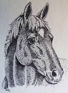 a black and white drawing of a horse's head on a sheet of paper