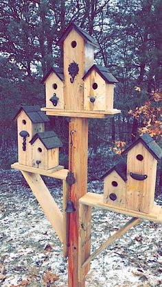 a wooden pole with several bird houses on it in the snow near some trees and bushes