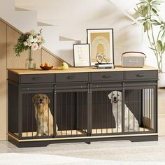 two dogs sitting in their kennels at the bottom of stairs with pictures on top