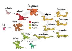 the different types of dinosaurs that can be found in an animal's life cycle