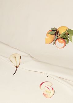 apples, oranges and pears on a white sheet with leaves falling from them