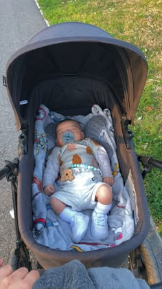 a baby in a stroller with stuffed animals