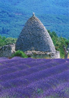 an old stone building in the middle of a field of lavenders with mountains in the background