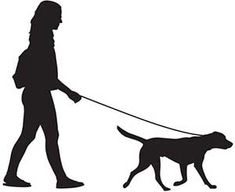 a woman walking her dog on a leash in the park silhouetted against a white background