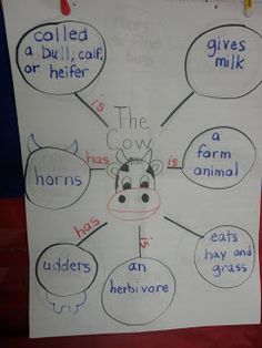 a poster with words and pictures on it that say cows, the cow is an herb