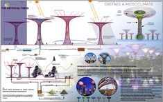 an info sheet describing the different types of trees and how they are used to grow them