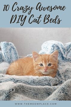 an orange cat laying on top of a bed covered in blankets and text that reads, 10 crazy awesome diy cat beds