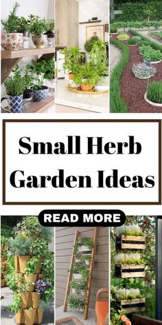 small herb garden ideas that are easy to grow