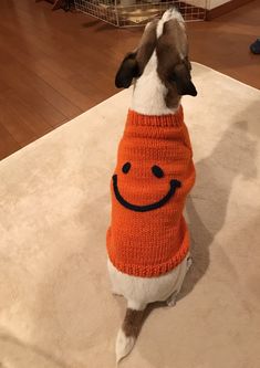 a dog wearing an orange sweater with a smiley face drawn on it