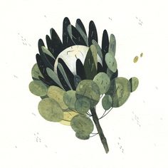 a drawing of a plant with leaves on it