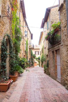 an alley way with potted plants on either side and brick walkway between two buildings