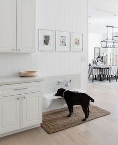 a black dog standing on top of a rug in a kitchen next to white cabinets