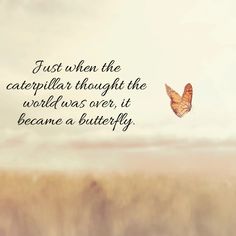 a butterfly flying through the air with a quote below it that reads, just when the caterpillar thought the world was over, it became a butterfly