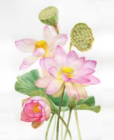 three pink flowers in a vase with green leaves