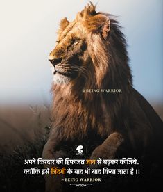 a lion sitting on top of a grass covered field next to a quote about being warrior