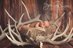 a baby is sleeping on top of antlers