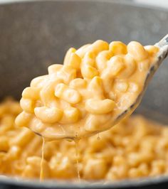 a spoon full of macaroni and cheese being lifted from a skillet with it