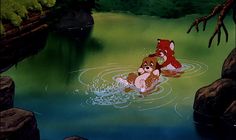 the fox and the hound is swimming in the water