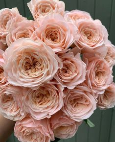 a bouquet of pink roses in a vase