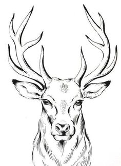 a black and white drawing of a deer with antlers on it's head