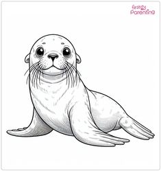 Sea-lion Coloring Page Seals Drawing, Sea Lion Tattoo, Sea Animals Drawing, Sea Lion Art, Baby Sea Lion, Sea Creatures Drawing, Lion Coloring Pages, Ocean Coloring Pages