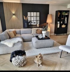 two dogs are standing in the middle of a living room with couches and chairs