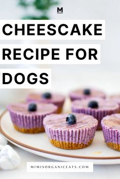 blueberry cheesecake recipe for dogs on a plate with marshmallows