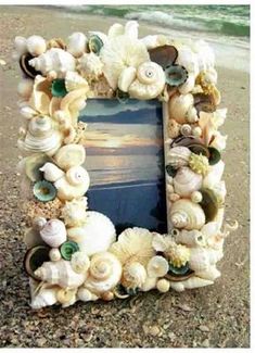 a frame made out of seashells on the beach