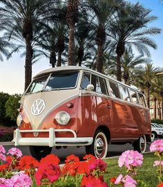 an old vw bus is parked in front of some pink and red flowers with palm trees behind it