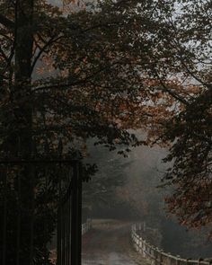 a person walking down a path in the rain