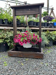 several potted plants are on display in a garden center with wooden shelves and hanging planters