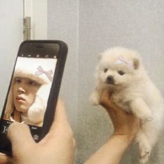 a person holding up a cell phone with a small dog on it's shoulder